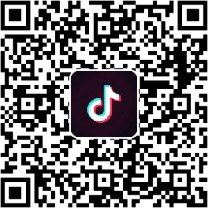 抖音小程序